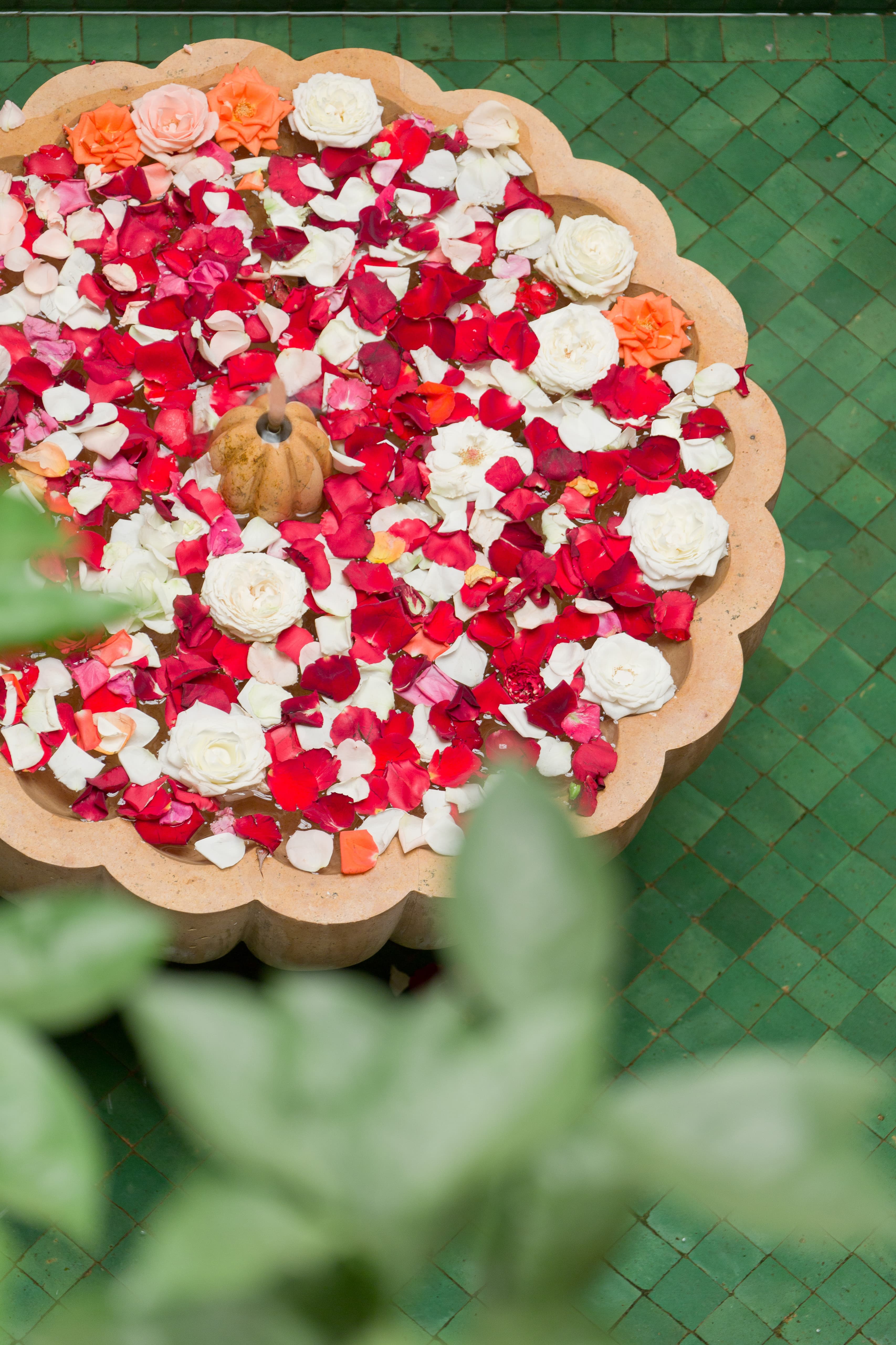 Fountain of flower petals